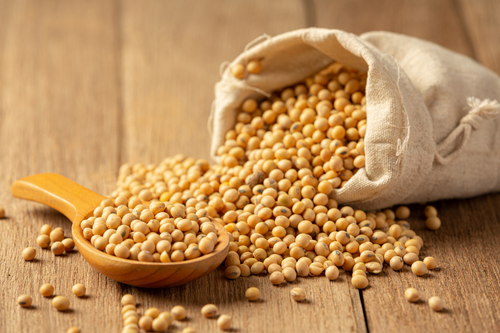 Soya Bean