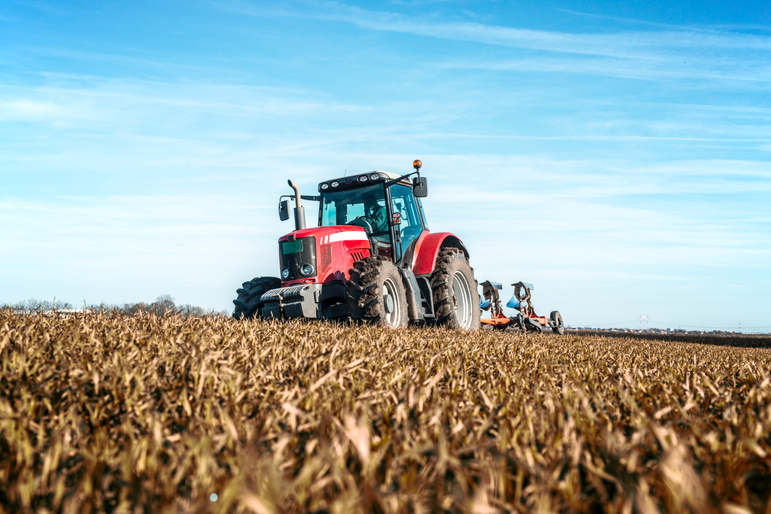 Commercial Farming